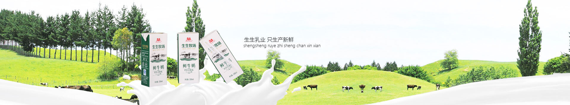 洛陽訂奶_酸奶代理_酸奶招商_牛奶品牌-生生乳業(yè)